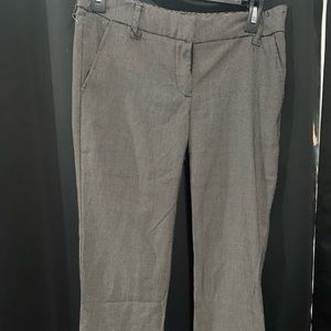 Dress pants
